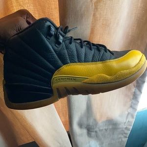 Jordan 12 University